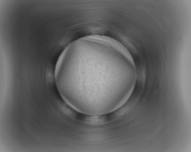 X0000113940622200910091624