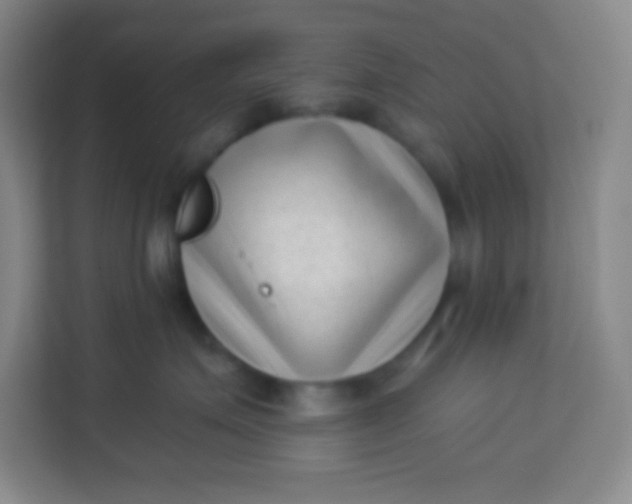 X0000113940623200910091624