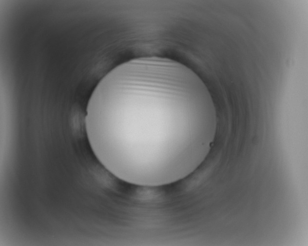 X0000113940624200910091624