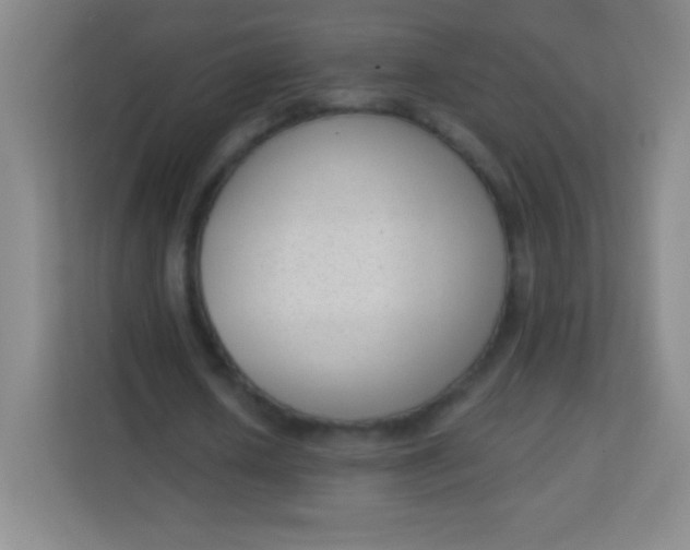 X0000113940626200910091623