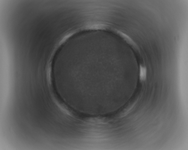 X0000113940627200910091623