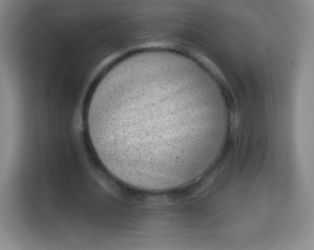 X0000113940628200910091623