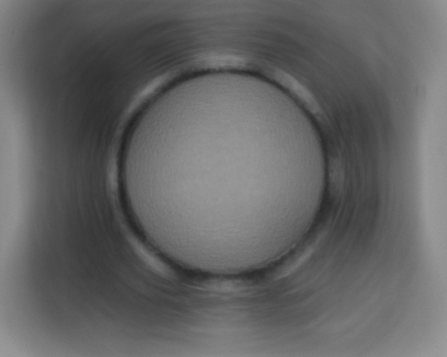 X0000113940629200910091623