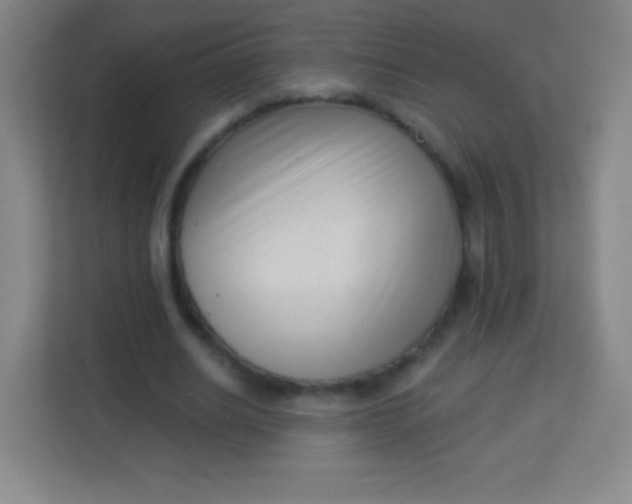 X0000113940630200910091623