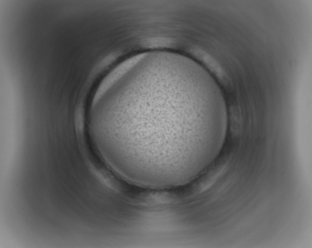 X0000113940631200910091623