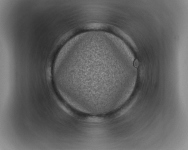 X0000113940633200910091623