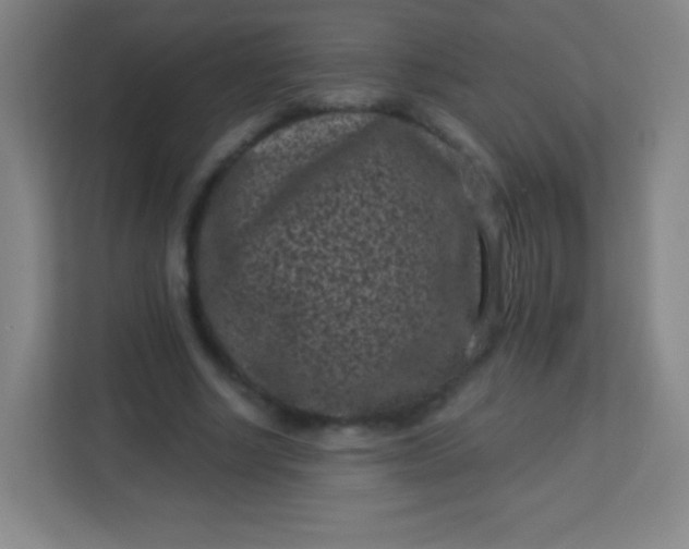 X0000113940634200910091623