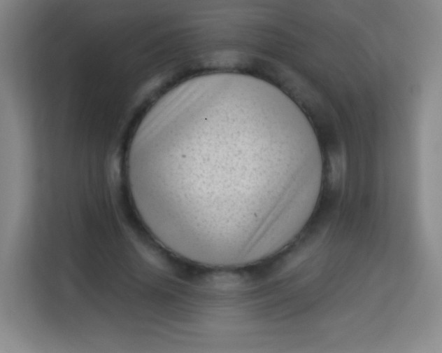 X0000113940636200910091623