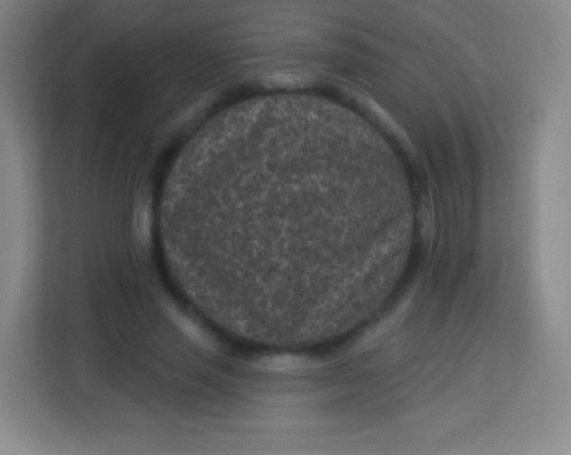 X0000113940637200910091623