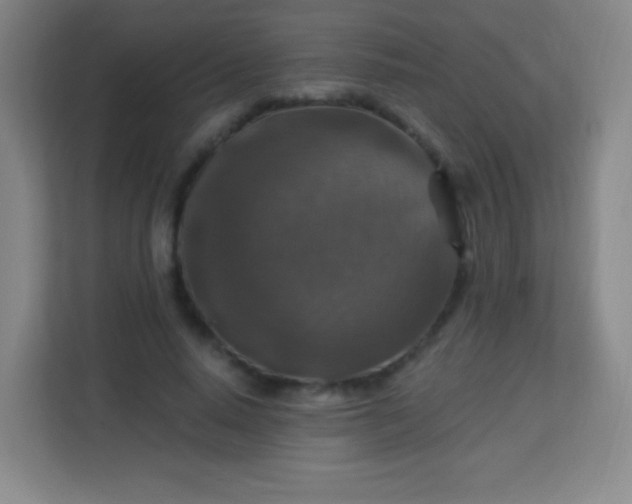 X0000113940640200910091623