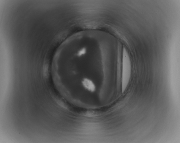 X0000113940641200910091623