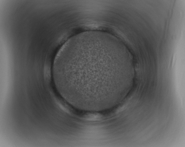 X0000113940642200910091623