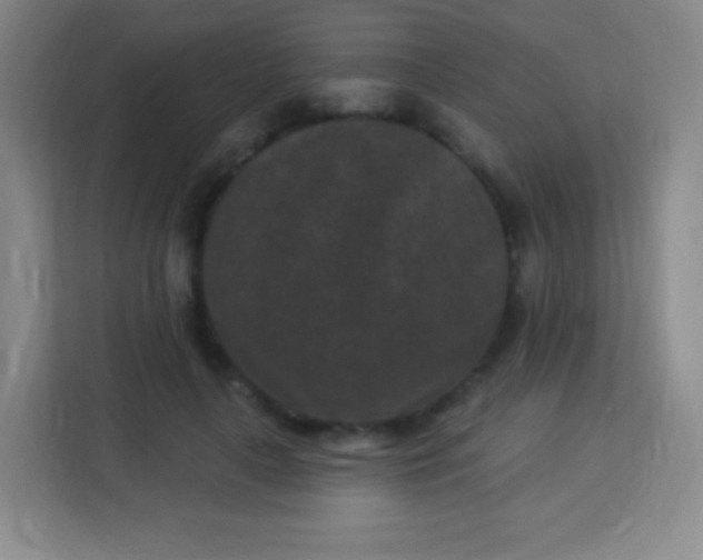 X0000113940643200910091623