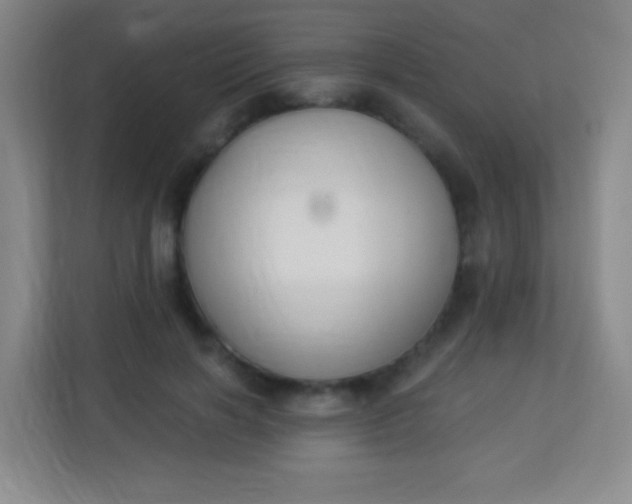 X0000113940646200910091623