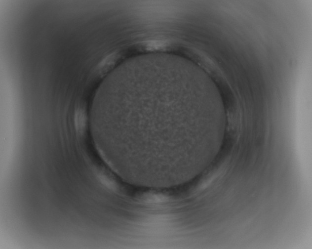 X0000113940648200910091623