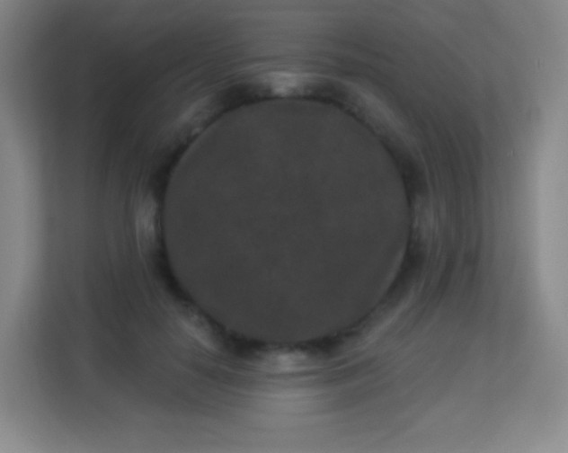 X0000113940650200910091623