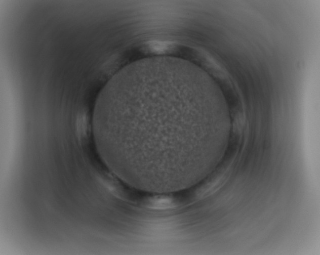 X0000113940651200910091623