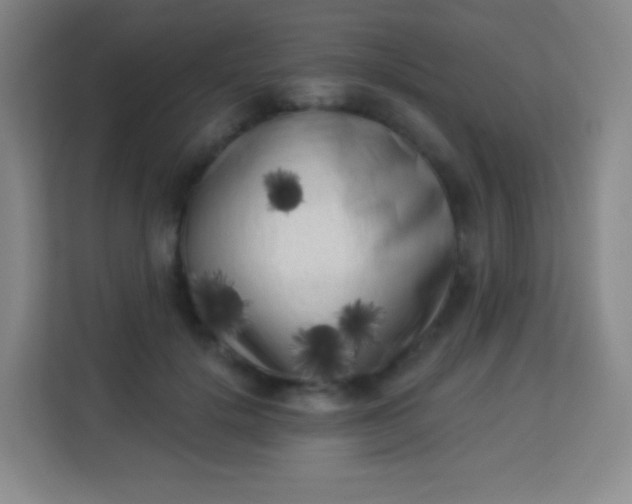 X0000113940652200910091623