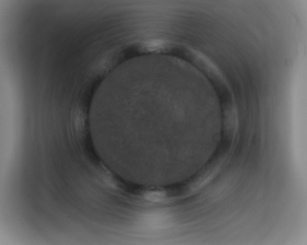 X0000113940653200910091623