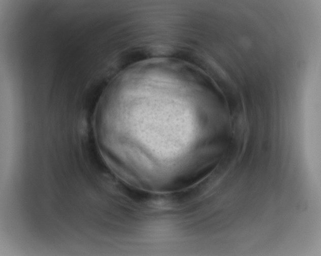 X0000113940655200910091624