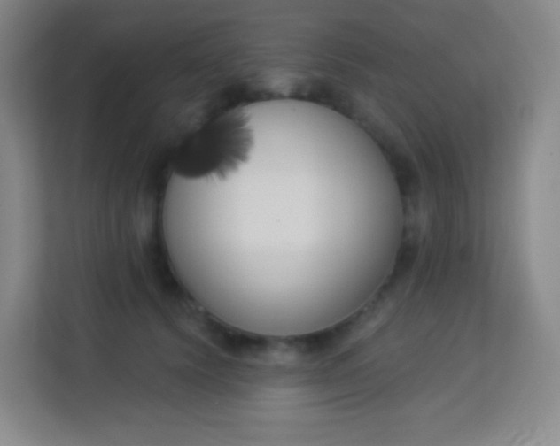 X0000113940656200910091624