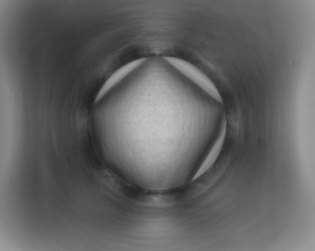 X0000113940657200910091624