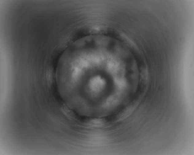 X0000113940659200910091624