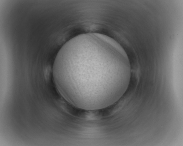 X0000113940660200910091624