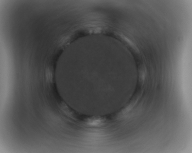 X0000113940661200910091624