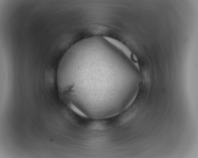 X0000113940664200910091624