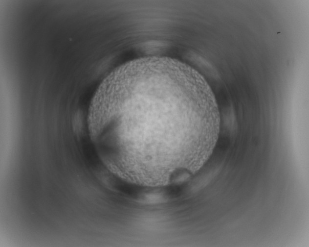 X0000113940667200910091624