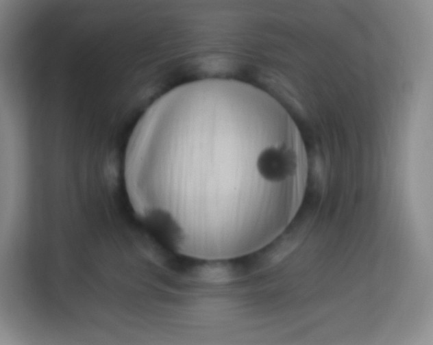 X0000113940668200910091624