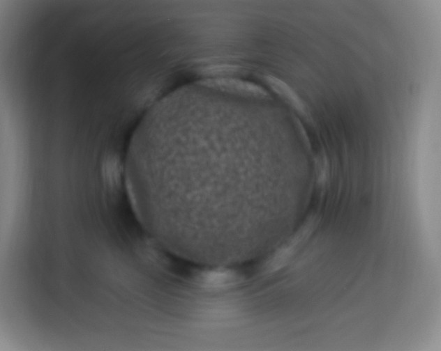 X0000113940669200910091624