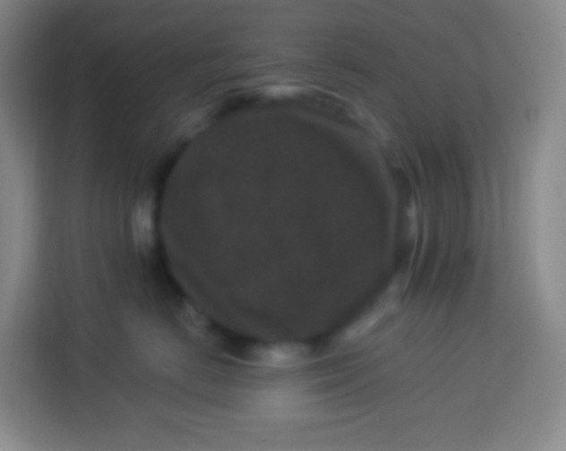 X0000113940670200910091624