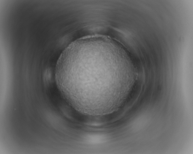 X0000113940671200910091624