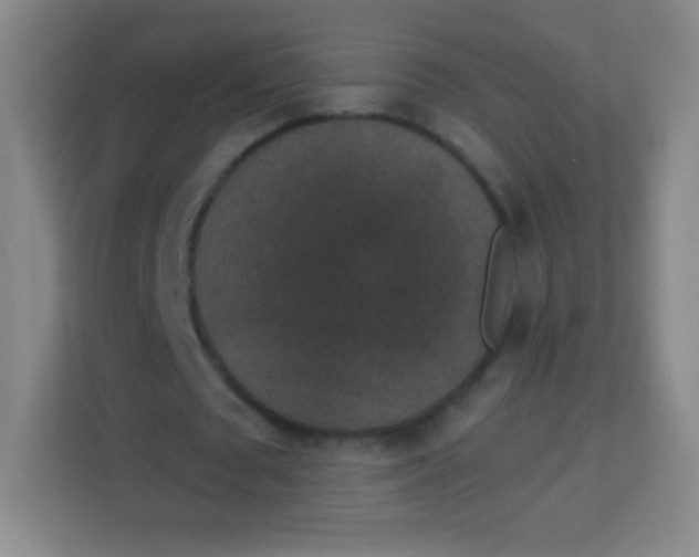 X0000113940673200910091623