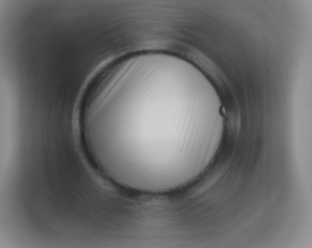 X0000113940676200910091623