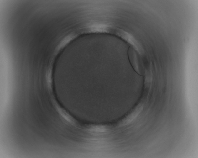 X0000113940677200910091623