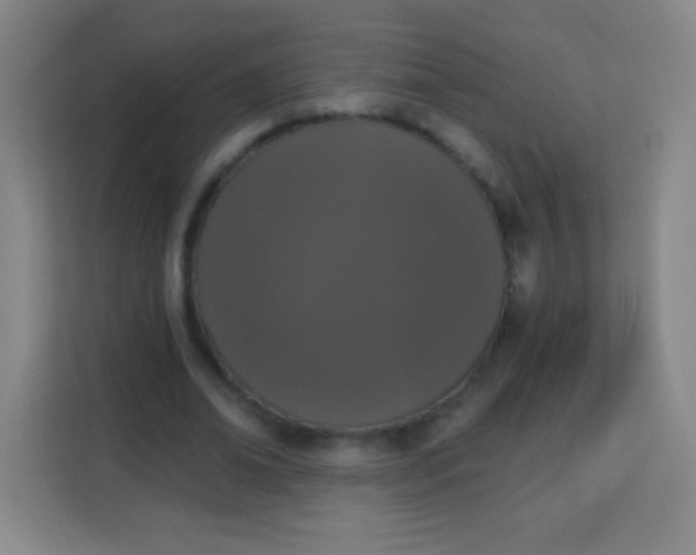 X0000113940678200910091623