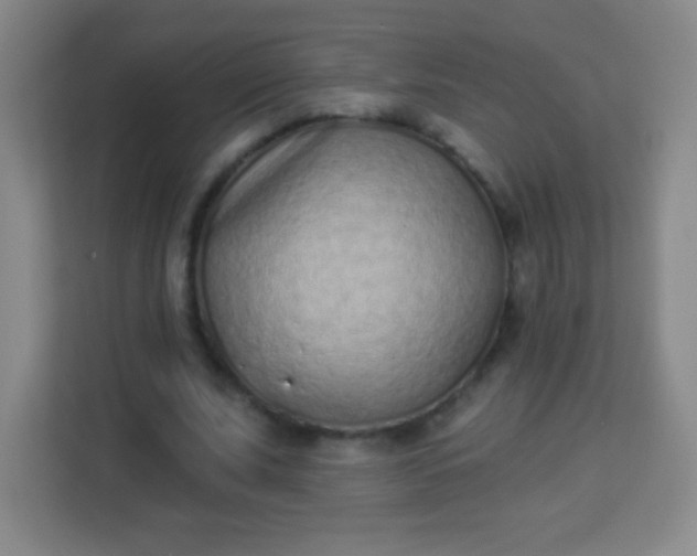 X0000113940679200910091623