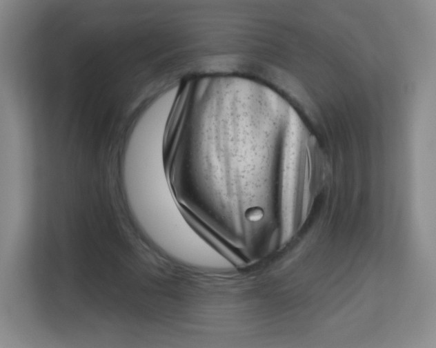 X0000113940681200910091623