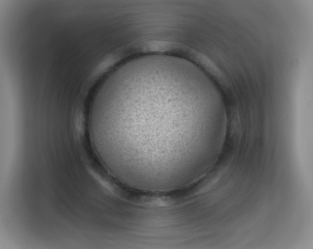 X0000113940683200910091623