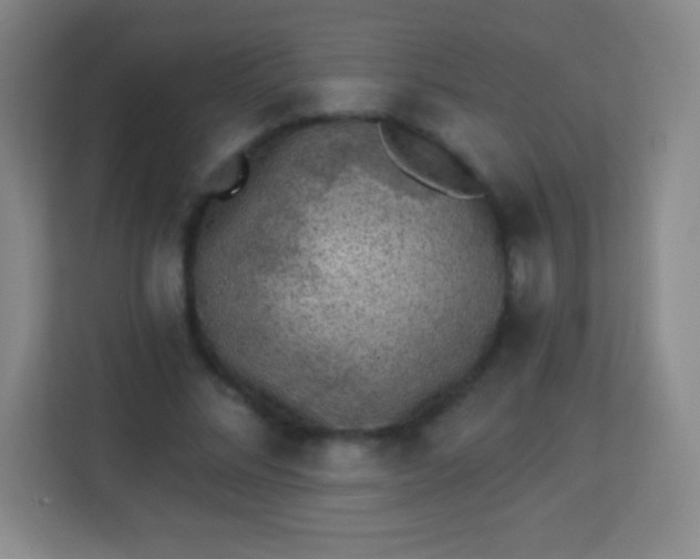 X0000113940684200910091623