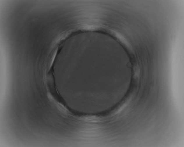 X0000113940685200910091623