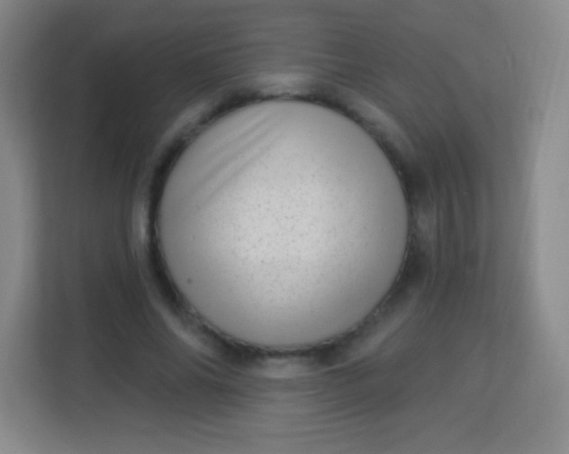 X0000113940686200910091623