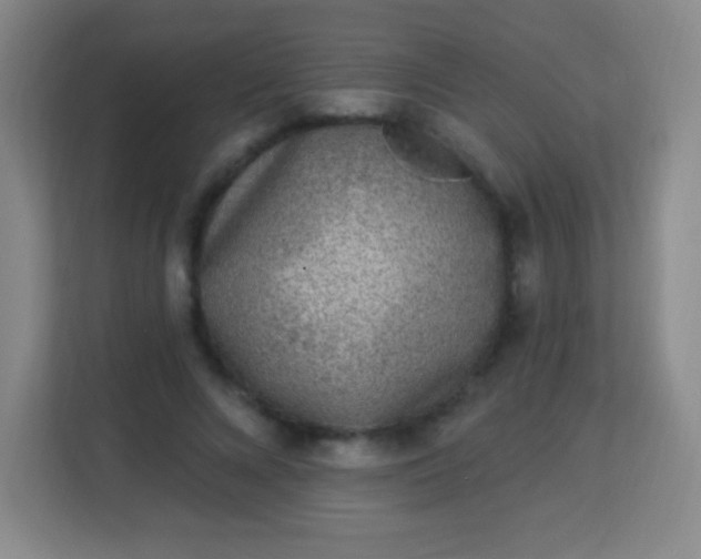 X0000113940688200910091623