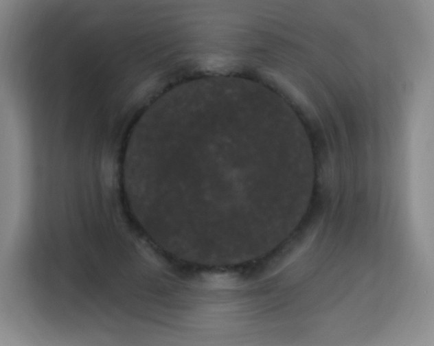 X0000113940689200910091623