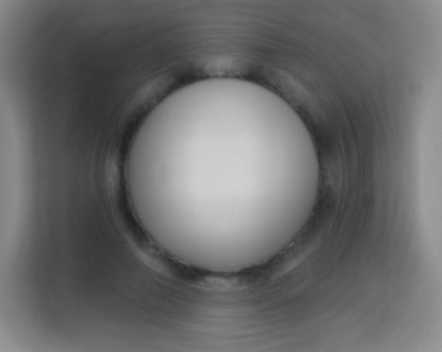 X0000113940690200910091623