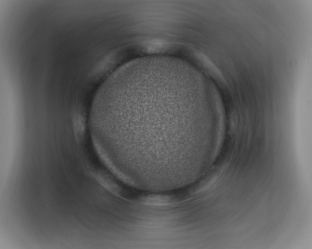 X0000113940691200910091623