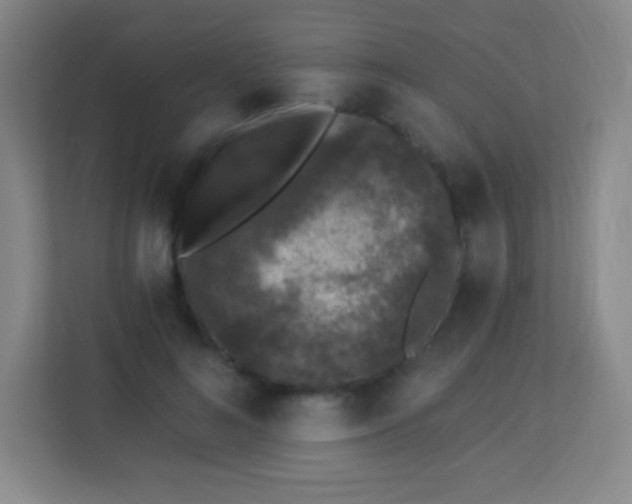 X0000113940692200910091623